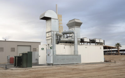 RuAnn Dairy